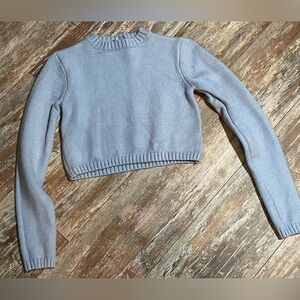Cropped Crewneck Sweater - Light Blue